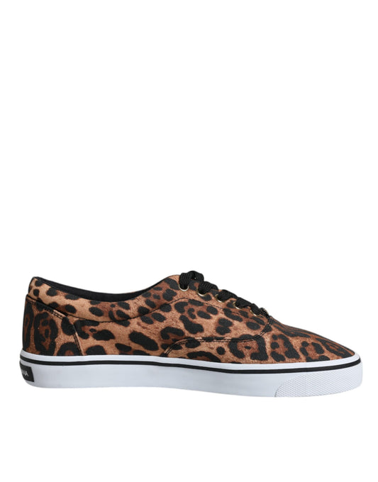 Dolce & Gabbana Brown Leopard Logo Print Cotton Sneakers Shoes